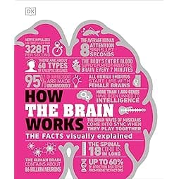 How the Brain Works: The Facts Visually Explained (How Things Work)