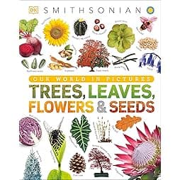 Trees, Leaves, Flowers and Seeds: A Visual Encyclopedia of the Plant Kingdom (DK Our World in Pictures)