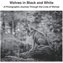 Wolves in Black and White: A Photographic Journey Through the Lives of Wolves 