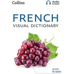 Collins French Visual Dictionary (Collins Visual Dictionaries) 