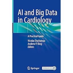 AI and Big Data in Cardiology: A Practical Guide 