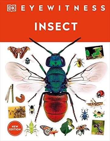 Eyewitness Insect (DK Eyewitness)  cover