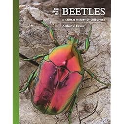 The Lives of Beetles: A Natural History of Coleoptera (The Lives of the Natural World, 3) 