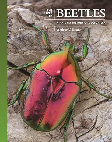 The Lives of Beetles: A Natural History of Coleoptera (The Lives of the Natural World, 3)  cover