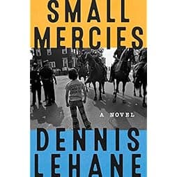 Small Mercies: A Novel