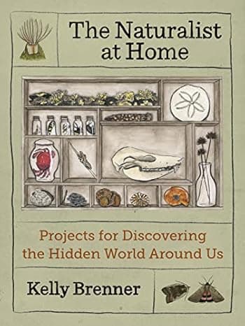 The Naturalist at Home: Projects for Discovering the Hidden World Around Us  cover