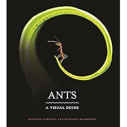Ants: A Visual Guide 