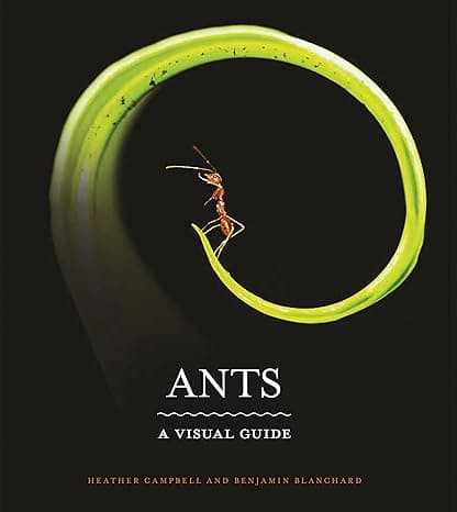 Ants: A Visual Guide  cover