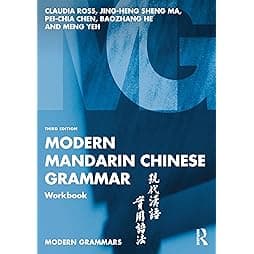 Modern Mandarin Chinese Grammar Workbook (Modern Grammar Workbooks) 
