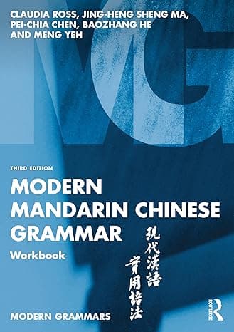 Modern Mandarin Chinese Grammar Workbook (Modern Grammar Workbooks)  cover