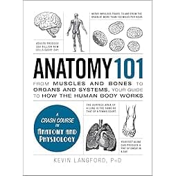 Anatomy 101: From Muscles and Bones to Organs and Systems, Your Guide to How the Human Body Works (Adams 101 Series) 