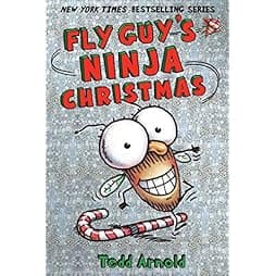 Fly Guy's Ninja Christmas (Fly Guy #16) (16)