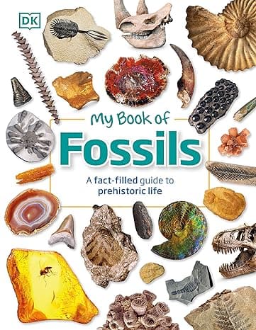 My Book of Fossils: A fact-filled guide to prehistoric life cover