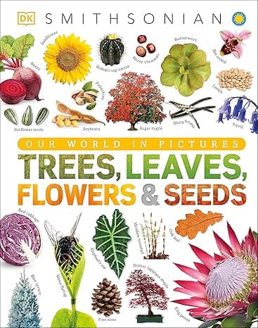 Trees, Leaves, Flowers and Seeds: A Visual Encyclopedia of the Plant Kingdom (DK Our World in Pictures) cover