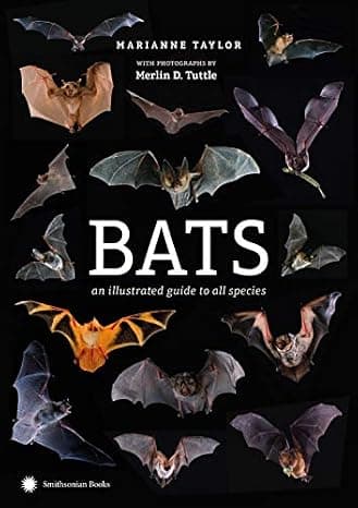 Bats: An Illustrated Guide to All Species cover