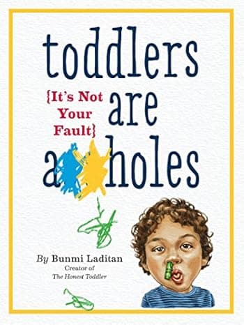 Toddlers Are A holes: It's Not Your Fault cover