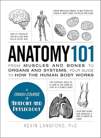 Anatomy 101: From Muscles and Bones to Organs and Systems, Your Guide to How the Human Body Works (Adams 101 Series) cover